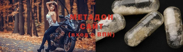 индика Горняк