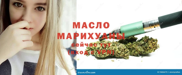индика Горняк
