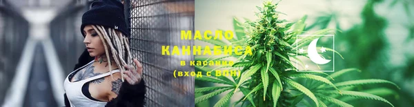 индика Горняк