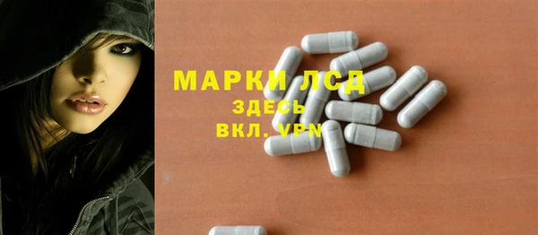 индика Горняк