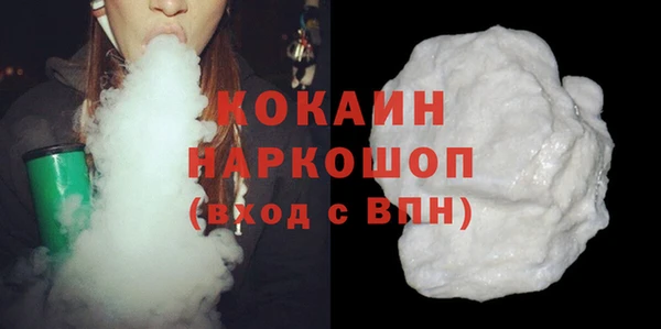 индика Горняк