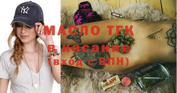 индика Горняк