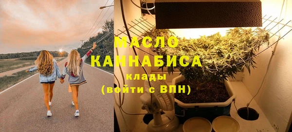 индика Горняк