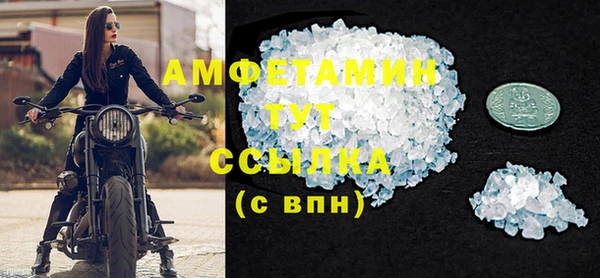 индика Горняк