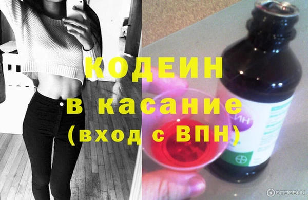 индика Горняк