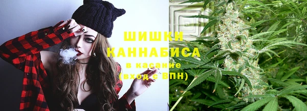индика Горняк