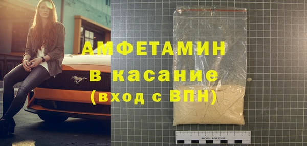 индика Горняк