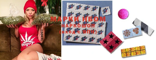 индика Горняк