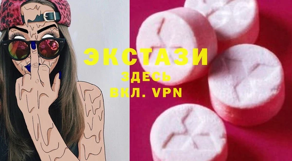 индика Горняк