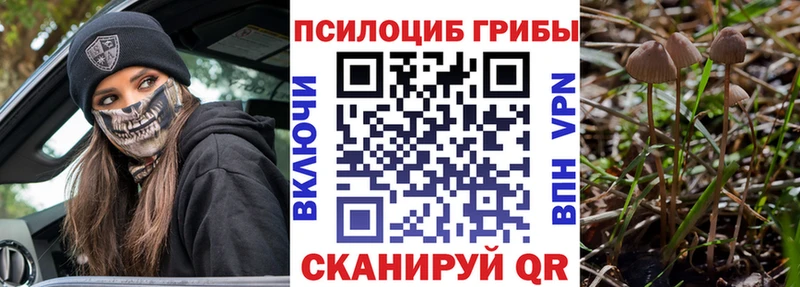 Псилоцибиновые грибы Psilocybine cubensis Москва